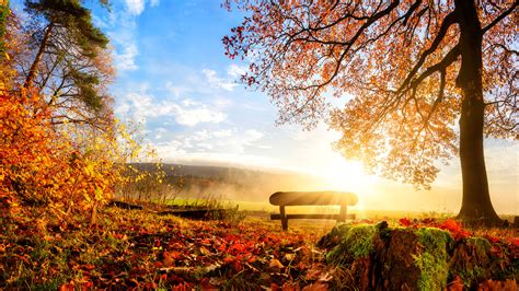 Autumn Scenery Wallpaper 57 Images