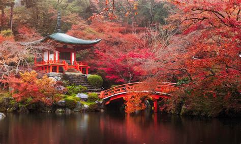 See Autumn Colours In Japan Forecast 2023 To Enjoy The Momiji