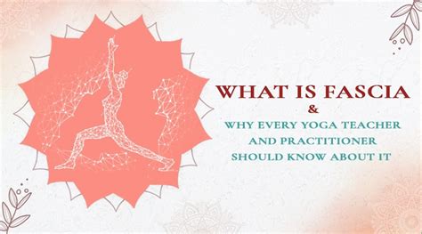 What Is Fascia And Benefits Of Fascia Release In Yoga Arhanta Yoga Blog