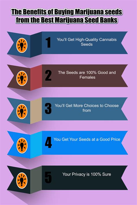 This survival seed bank tutorial provides instruction on using the proper seed vault or container for effectively storing your non gmo heirloom seeds. The Benefits of Buying Marijuana seeds from the Best Marijuana Seed Banks : Marijuana