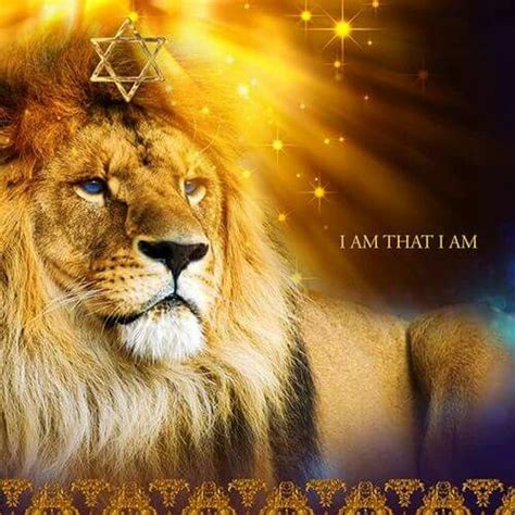 Lion Of Judah King Of Kings Prophetic Art Lion Of Judah Lion Of
