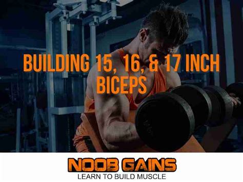 The Truth About Building 15 16 And 17 Inch Biceps Noob Gains
