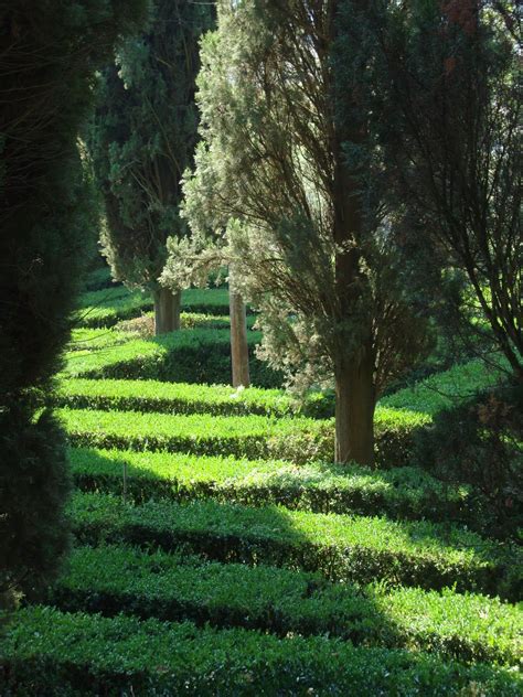 Im dunstkreis von lucca liegen gleich drei der berühmtesten toskanischen villen. Villa Reale di Marlia, Lucca, Italy | Tuscan villa, Places ...