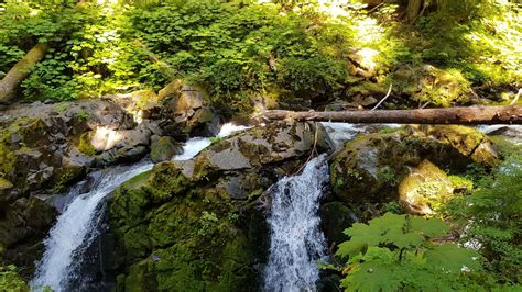 Sol Duc Falls Nature Trail Washington Alltrails
