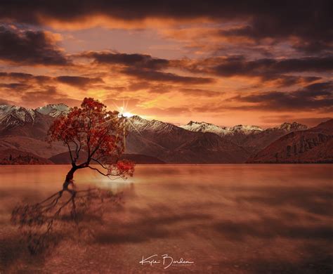 The Lone Tree On Lake Wanaka At Sunset New Zealand Oc 7952 X 6555