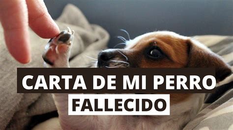 Carta De Perro Que Ha Fallecido Para Su Due O Poemas Para Perros Perros Mam De Perro