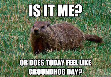 Is It Me Or Does Today Feel Like Groundhog Day Groundhog Day Quickmeme
