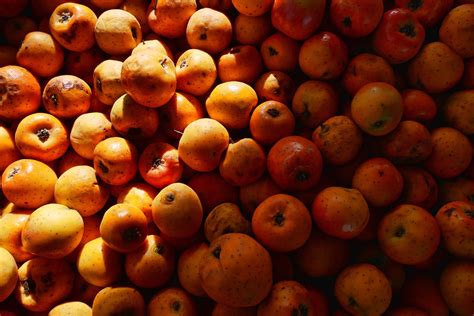 Tejocote Manzanita Miniature Apples Rickinazaki Flickr