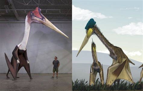 Meet Quetzalcoatlus Worlds Largest Flying Animal Had A Wingspan Of