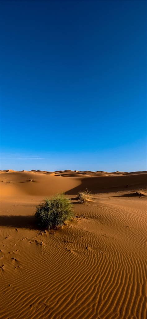 Sahara Desert Sand Sky Cool1305499 Hd Wallhere Iphone Wallpapers Free