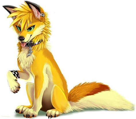 Otherwise the roo will look like its. Yellow Dog 🐶 | Furry drawing, Animal art, Anthro furry