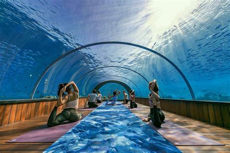 Learn Yoga Underwater Tourism News Live