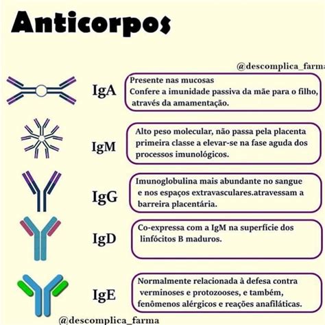 Imunoglobulina E Ige Baixa
