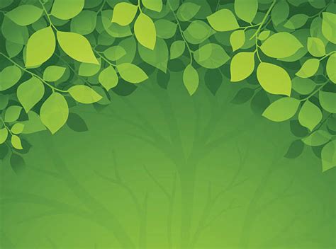 Best Greenery White Background Illustrations Royalty Free Vector
