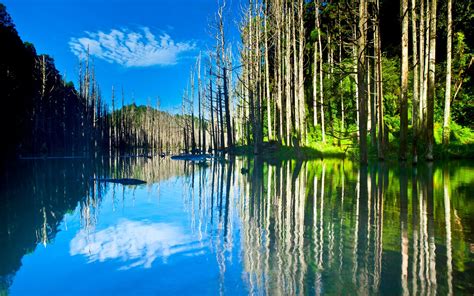Beautiful Nature Scenery Lake Trees Water Reflection Sun Wallpaper