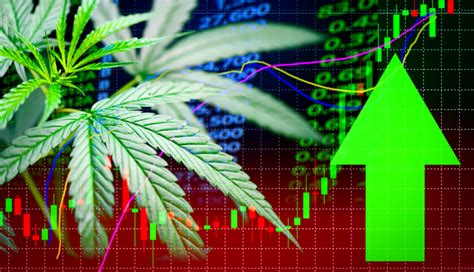 Buy weed online today at buyweedcenter, united states's leading online weed dispensary. Panic Buying Shifts from Toilet Paper to Pot Stocks Amid ...