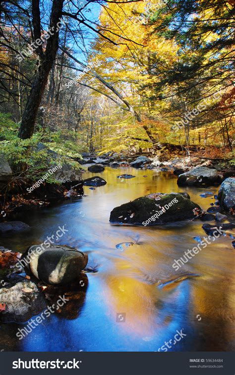 Autumn Creek Woods With Yellow Trees Foliage And Rocks In Forest