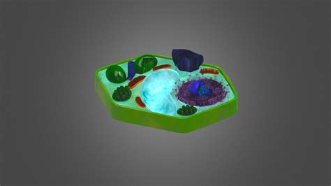 Plant Cell Organelles - Download Free 3D model by Interactive Art