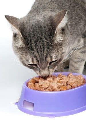 We'll define each texture below. Best Wet Cat Food (BENEFITS + REVIEWS) That Cats Will Love!