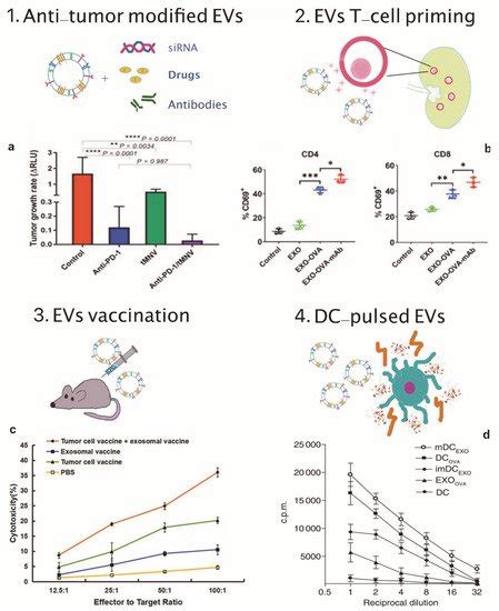 Extracellular Vesicles In Cancer Immunotherapy Encyclopedia Mdpi
