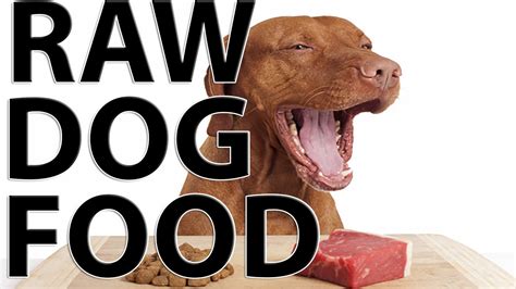 A raw dog food diet typically consists of: Best Raw Dog Foods - Benefit of Raw Dog Food - YouTube
