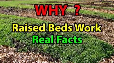 Check spelling or type a new query. WHY Raised Bed Gardening Works Faster Building beds for ...