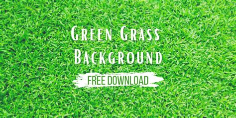 7 Free Grass Repeating Background Patterns For Photoshop