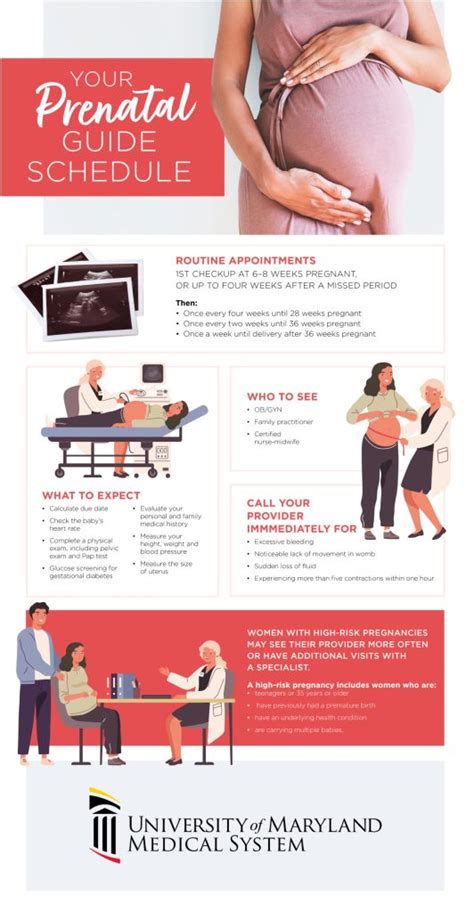 3 Things To Know About The Importance Of Prenatal Care Umms Health