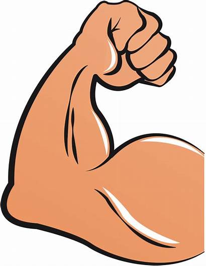 Clipart Muscle Arm Bicep Clip Strong Hand