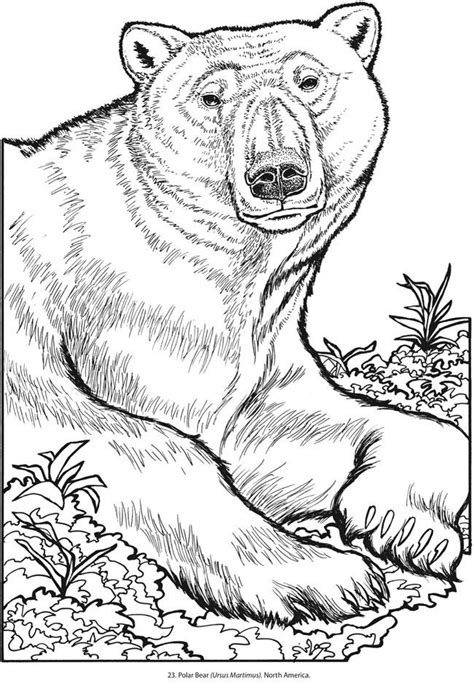 Lars The Little Polar Bear Coloring Pages Coloring Home