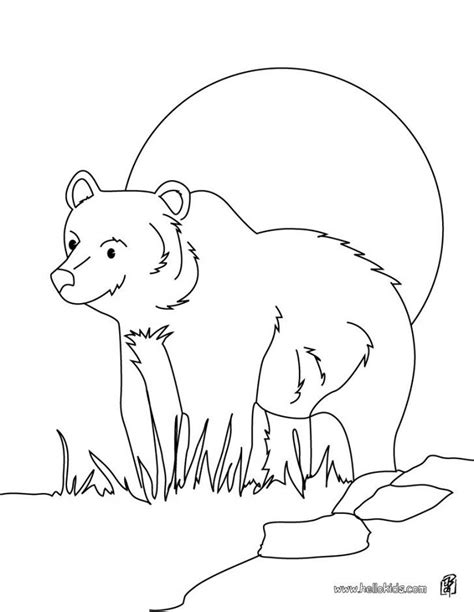 Hibernating Bear Coloring Page at GetColorings.com | Free printable colorings pages to print and