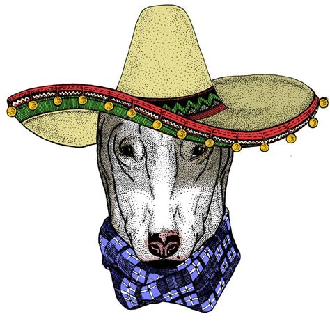 Bullterrier Dog Sombrero Mexican Hat Portrait Of Cartoon Animal