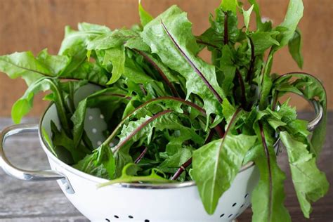 11 Delicious Substitutes For Arugula Get On My Plate Delicious