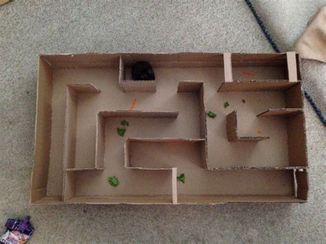 Diy Cardboard Hamster Maze I Made Cut Up A Tv Box And Used Hot Glue