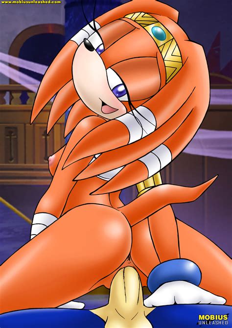 Rule 34 Bbmbbf Furry Mobius Unleashed Palcomix Sega Sonic Series Sonic The Hedgehog Tikal