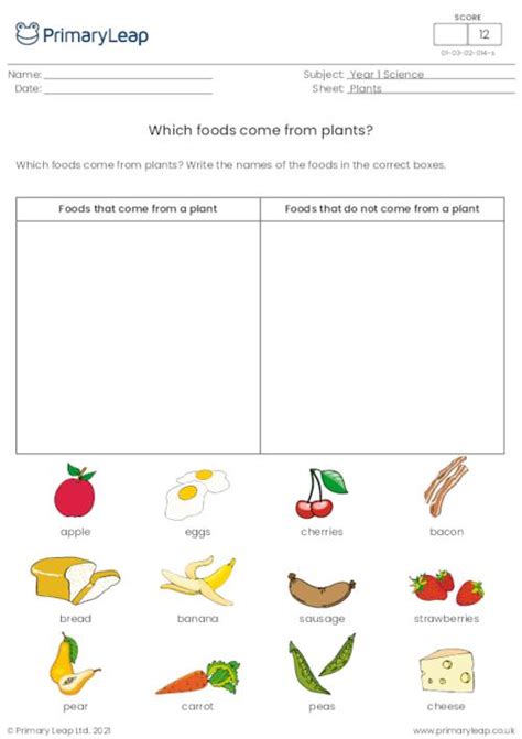 year 1 science printable resources free worksheets for