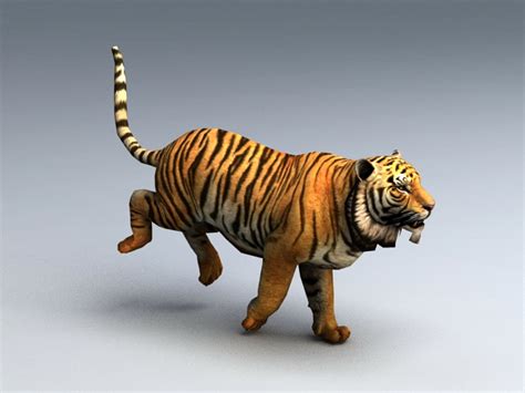 Animated Tiger Rig 3d Model 3ds Maxautodesk Fbx Files Free Download