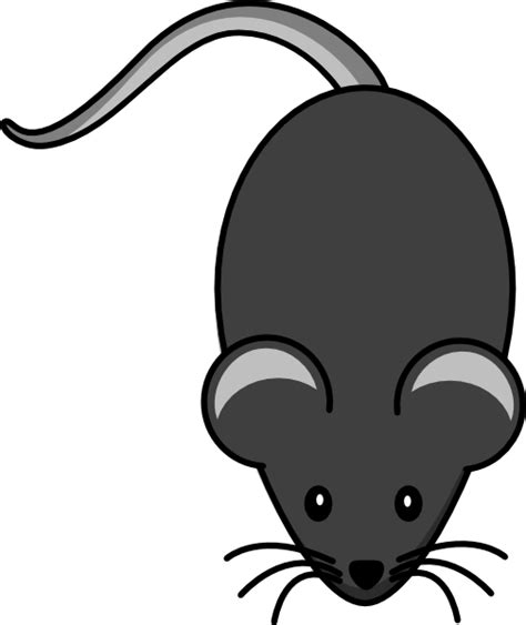 Light Grey Mouse Clip Art At Vector Clip Art Online