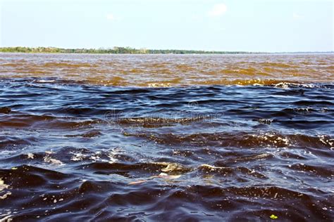 Amazon River And Rio Negro Where The Two Rivers Meet In Brazil Stock