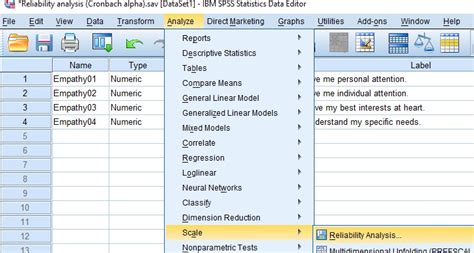 It'll look something like this. How to Run Reliability Analysis Test in SPSS - OnlineSPSS.com
