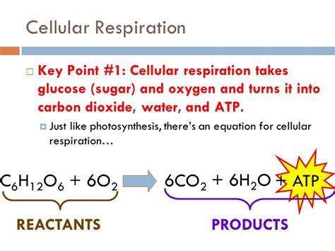 The products are atp, co2, and water. What is the equation for cellular respiration reactants ...