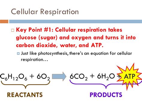What is the equation for cellular respiration reactants ...