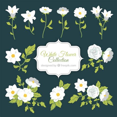 White Flower Vector At Getdrawings Free Download