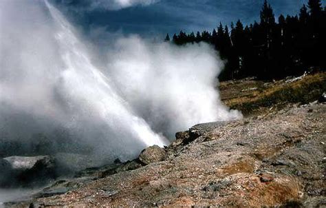 Yellowstones Ledge Geyser Roars To Life After Sitting Quiet 3 Years