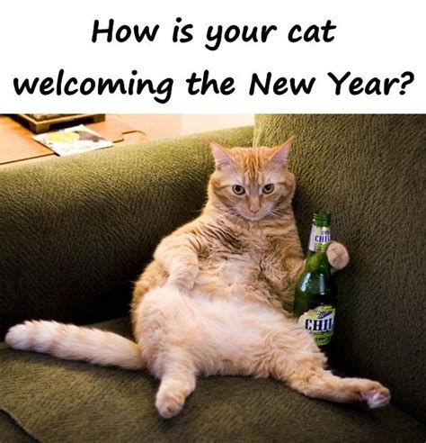Memes Crazy Humor Funny Pics New Year Funny Pictures Xdpedia