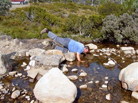 Due to snow conditions, vehicles using this road may require chains and at times the road may be closed. thoughts & happenings: Mt. Field Nation Park. Tasmania ...
