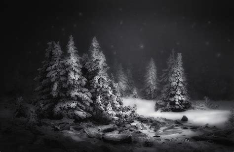 Black And White Snow Winter Night Hd Wallpaper Peakpx