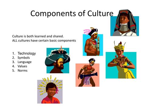 Ppt Culture Cultural Diversity And Conformity Powerpoint