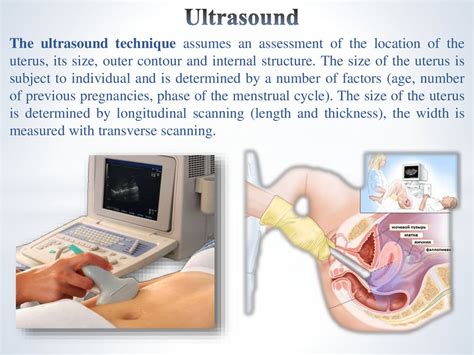 Methods Of Examination In Gynecology Online Presentation