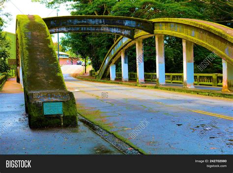Bridge Covered Moss Image And Photo Free Trial Bigstock